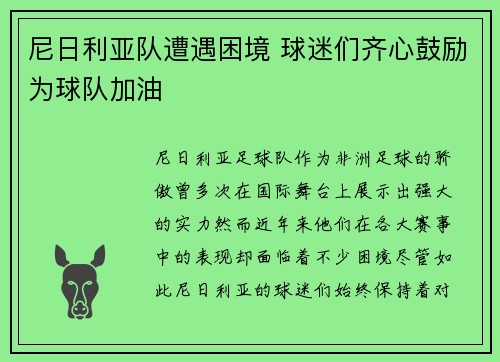 尼日利亚队遭遇困境 球迷们齐心鼓励为球队加油