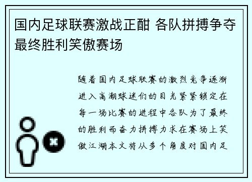 国内足球联赛激战正酣 各队拼搏争夺最终胜利笑傲赛场